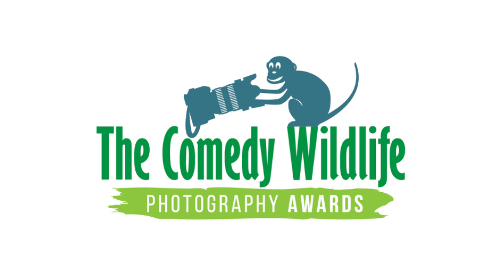 Comedy Wildlife Photography