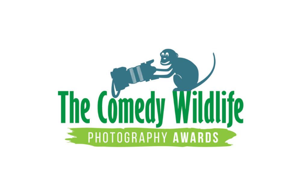 Comedy Wildlife Photography